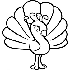 How to draw a peacock. Cute Little Peacock In Cartoon Coloring Page Kids Play Color Easy Animal Drawings Cute Coloring Pages Peacock Coloring Pages