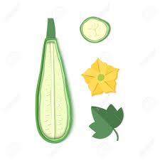 Maybe you would like to learn more about one of these? Set Of Paper Cut Zucchini Origami Squash Half A Pieces Collection Of Vegetable Marrow Leaf And Flower Vector Card Illustration Harvest Courgette Organic Ingredient In Paper Art Style Stock Photo Picture And