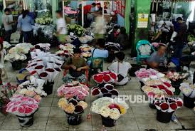 Perawatan yang dilakukan juga cukup sulit, karena bunga matahari butuh perlakuan khusus. Berburu Bunga Di Rawa Belong Republika Online