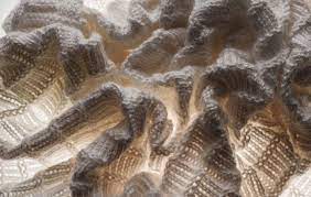 Spinnova's patented technology produces a new type of fiber for the textile industry. Spinnova And Kemira To Develop Sustainable Inherent Dyeing Fibre2fashion