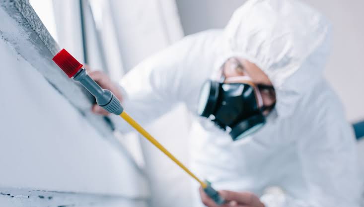 Termite Treatment