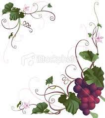grape vine vector item 5 dessin de vigne raisins plante grimpante coloriage fevrier harry potter
