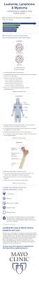 Pin On Infographics