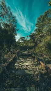 Nature Railway Trees Grass Wallpapers Hd 4k Background For Android Green Nature Wallpaper Hd Nature Wallpapers Nature Wallpaper