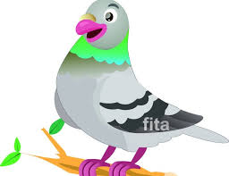 Om, cariin suara burung hantu!!! Gambar Kartun Burung Lovebird Goreng