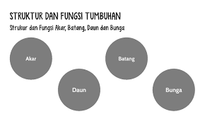 23 mewarnai gambar hewan hitam putih gambarmaniak com gambar hewan hitam putih mewarnai gambar merupakan suatu organel sel tumbuhan struktur gambar fungsi yuksinau id. Struktur Dan Fungsi Tumbuhan By Animasi Pembelajaran
