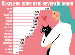 En Cok Kedi Hangi Ulkede Besleniyor En Cok Kedi Besleyen 15 Ulke Yasam Guncel Haberler