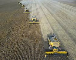 ‘Super’ El Niño could cause global food price shock lasting into 2028, analysts say | Global economy