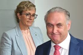 Stitch up': Steggall, minister in heated clash over donations