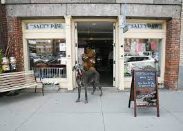 60 fydell street, boston, england pe21 8lf. Find A Great Pet Store In New York City