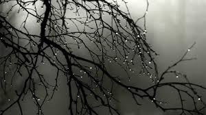 Forums pour discuter de tristesse, voir ses formes composées, des exemples et poser dictionnaires de langue en ligne. Tristesse D Automne Mix Ambientblog