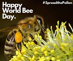 Check spelling or type a new query. Thames Talbot Land Trust On Twitter Bees Play An Important Role In Pollination Did You Know That There Are More Than 400 Species Of Bees In Ontario Spreadthepollen Justkeeppollinating Beesforlife Beefriendly Https T Co Wid299zqoh