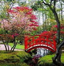 Japanese Phrases In English Japanese Proverbs Quotes And Sayings Japanese Garden Japanese Garden Design Garden Bridge