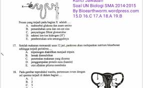 Makalah materi soal penjaskes kelas 11 diterangkan mulai dari pengertian, jenis, fungsi, struktur, tujuan, ciri, kaidah, makna, konsep, dan contoh lengkapnya. Soal Ukg Ipa Smp Dan Pembahasannya 2015 Guru Jpg