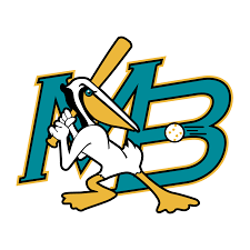 Currently over 10,000 on display for your viewing pleasure. Myrtle Beach Pelicans Logo Png Transparent Svg Vector Freebie Supply