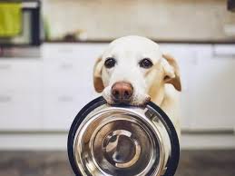 Shop retail and subscribe (20% off). 10 Best Online Pet Food Delivery Services Familyminded