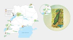 A complete guide to climbing rwenzori mountains, when to go and climb, the tourist activities around the mountains, where to stay during after your trek, the climbing routes as well as tour operators specialized in mountaineering in uganda. Rwenzori Mountains National Park Map Mountains Trekking Safari Uganda Safaris