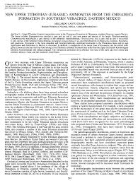 NEW UPPER TITHONIAN (JURASSIC) AMMONITES FROM THE CHINAMECA FORMATION IN  SOUTHERN VERACRUZ, EASTERN MEXICO
