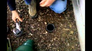 We did not find results for: What To Do With Dog Poop 10 Eco Friendly Dog Disposale Solutions
