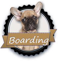 Traditional and holistic, comfort focused. Veterinarian In Temple Tx Family Pet Clinic