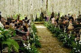 If I Could Have Edward And Bellas Wedding I So Would Twilight Wedding Breaking Dawn Wedding Wedding Scene