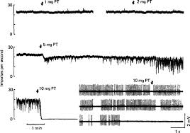 Image result for Sodium Channel Blocker