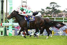 いわwwwwwwwwwwwお前の野太い魔羅でガチドロ交尾して種汁便所になりてえぜwwwwwwwww 2012年 4月15日 第72回皐月賞 パトロールビデオ. 2019å¹´ çšæœˆè³ž Jra