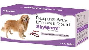 We did not find results for: Skyec Skyworm Deworming Tablets For Dogs