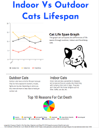 Lifespan Of A Outdoor Cat Cheap Buy Online