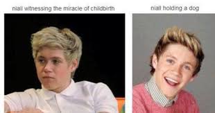 Our Special Little Snowflake I Love One Direction One Direction Memes Cher Lloyd