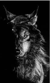 Man Vs Wolf Brawl Wolf Fights Man Wolf Wallpaper Wolf Photography Wolf Artwork