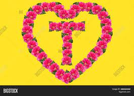 This will make year number five in a row that th. Alphabet T Design Image Photo Free Trial Bigstock