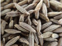 Other important nutrients in cumin seeds include manganese, copper, calcium, magnesium, phosphorus, and zinc. Cumin Seeds Or Jeera Buy Online India Tradisquare Com