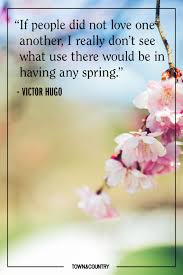 They are sunshine, food and medicine for the soul. 20 Best Spring Quotes Inspirational And Funny Sayings About Spring