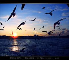 Istanbul U Dinliyorum Gozlerim Kapali Istanbul Gozler