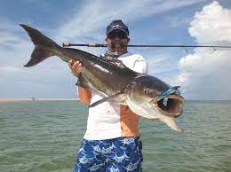 Get the essential info on nc fishing licenses so you can hit. North Carolina Cobia And Grouper Seasons Reopen May 1 Pointclickfish Com