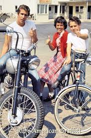 He appeared in the very first episode along with all the remaining 255 episodes which followed. Pin On Happy Days Costumes