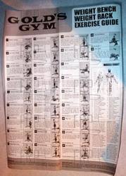 Gold U S Gym Home Gym Exercise Chart Bedowntowndaytona Com