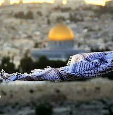 ale herrera adli kullanicinin palestine in my always panosundaki pin resimler kudus fotografcilik