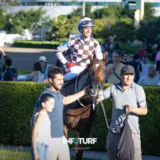 Viva al Sur dominó el domingo La defensora del Pampas se impuso en el  Handicap Rafale, la central del domingo en el Hipódromo de Palermo. Adrián  Giannetti y Gustavo Scarpello, los profesionales