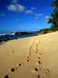 On The Lord S Errand Footprints In The Sand North Shore Oahu Hawaii North Shore Oahu Oahu
