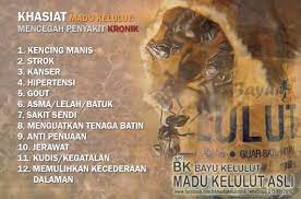 Madu lebah kelulut mampu mengubati penyakit seperti kencing manis, darah tingg, dan jantung. Facebook