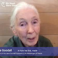 Olivia Carrasco Bordone