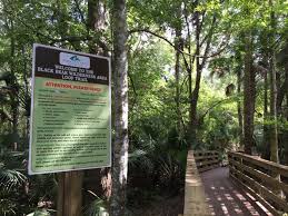Maybe you would like to learn more about one of these? Wikiloc Black Bear Wilderness Area Trail