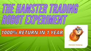 We did not find results for: Trading Robot Experiment Can We Make 1000 Return Trading Forex With Hamster Scalping Youtube