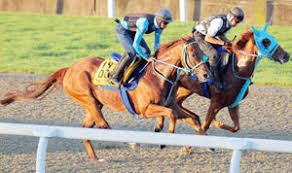 Maybe you would like to learn more about one of these? X Bnhag1 6fncm