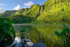 Hauptstadt ist santa cruz das flores mit ca. Grunes Paradies Die Azoren Insel Flores Urlaubsguru