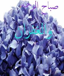 ﺍﻟﻠﻬﻢ في هذا الصباح ﺍجعل لنا ﻧﺼﻴﺒﺎ ﻓﻲ ﻛﻞ ﺧﻴﺮ ﺗﻘﺴﻤﻪ ﻭﻓﻲ ﻛﻞ ﻧﻮﺭ ﺗﻨﺸﺮﻩ ﻭﻓﻲ ﻛﻞ ﺭﺯﻕ ﺗﺒﺴﻄﻪ ﻭﻓﻲ ﻛﻞ ﺿﺮ ﺗﻜﺸﻔﻪ ﻭﻓﻲ ﻛﻞ ﺑﻼﺀ ﺗﺮﻓﻌﻪ petals flowers love flowers