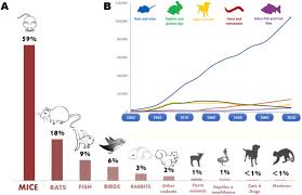 Men And Mice Relating Their Ages Sciencedirect