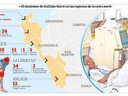 Los síntomas incluyen debilidad muscular, entumecimiento, y sensación de hormigueo, que puede aumentar en intensidad hasta que los. El Sindrome De Guillain Barre Empieza A Frenarse Infografia Edicion Correo